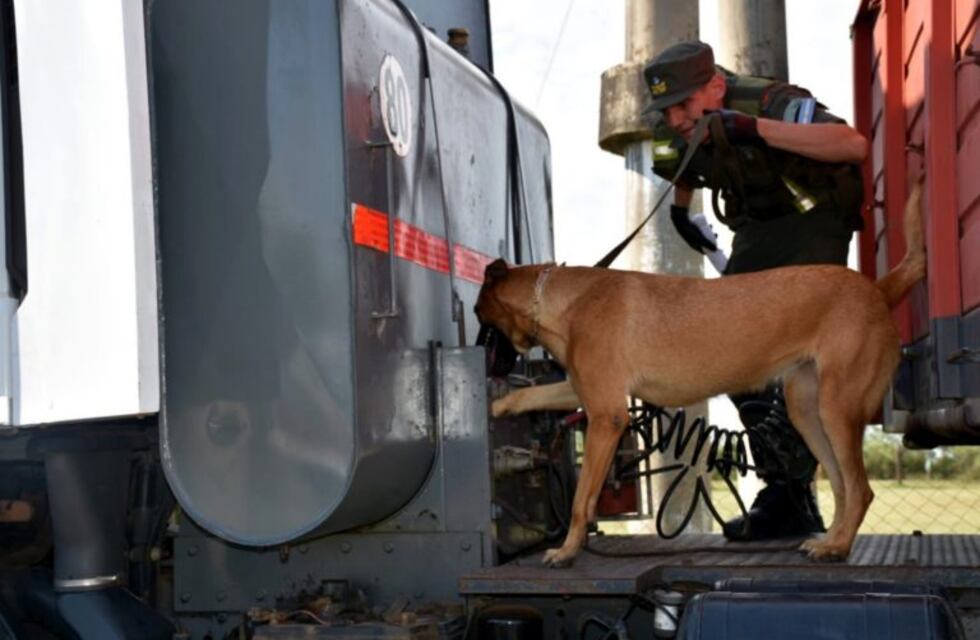 Detuvieron un camión con importante cargamento de marihuana