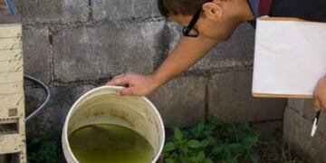 Continúa la campaña Sin criaderos no hay mosquitos