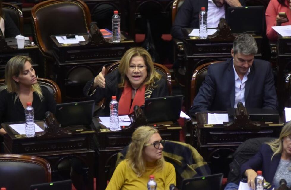 Camaño cruzó a Massot y acusó al oficialismo de buscar "encubrimiento e impunidad"