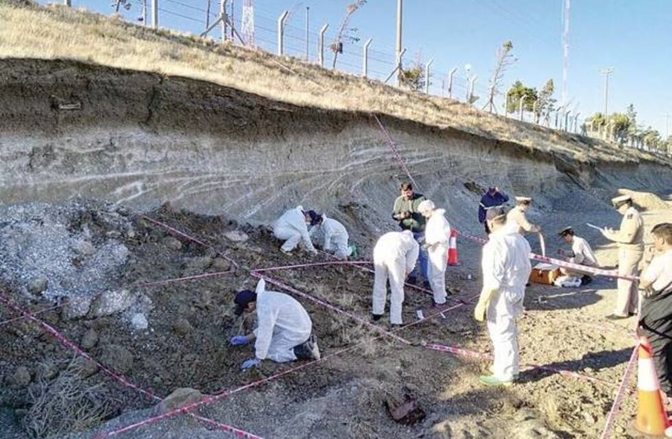 Hallaron restos óseos de larga data en el puerto