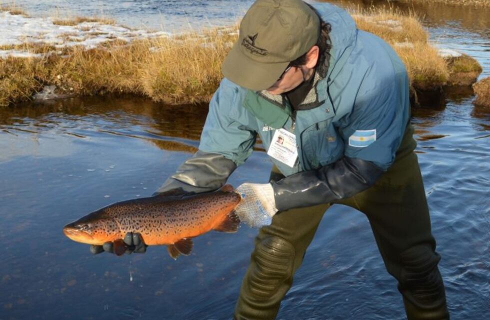 La Dirección de Recursos Hídricos denunció casos de pesca ilegal de truchas en ríos fueguinos