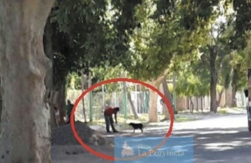 Dos camioneros sanjuaninos se ganaron la confianza de un perro para ahorcarlo