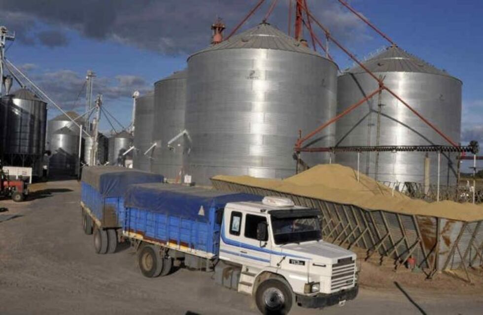 Denuncian a empresa cerealera de Leones ante la Justicia Federal por estafa y evasión al fisco