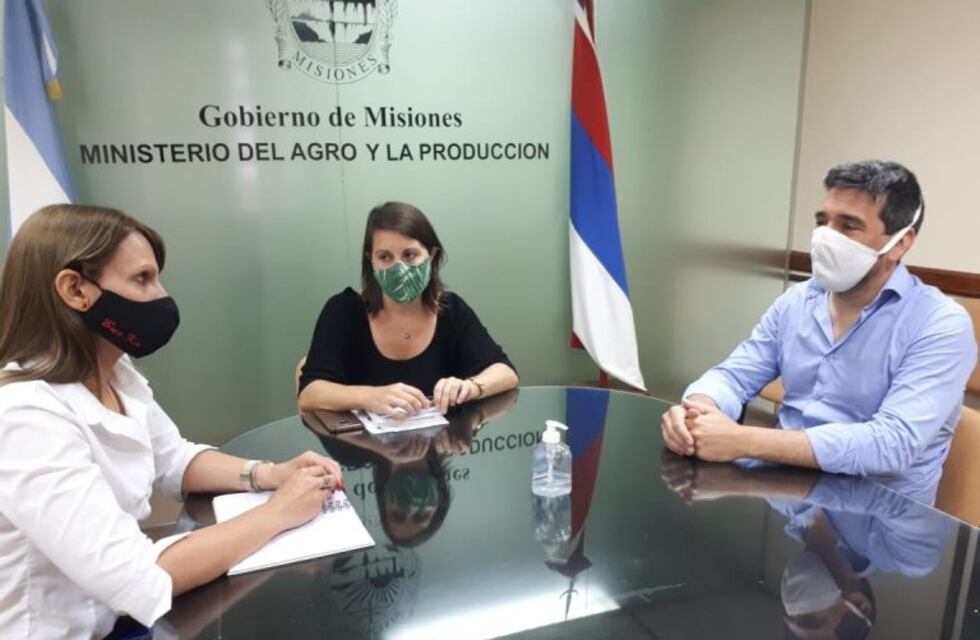 La zafra tealera ya cuenta con un protocolo aprobado por los productores y el Ministerio del Agro