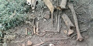Obreros rurales encontraron restos humanos en una finca