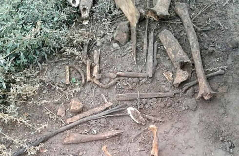 Obreros rurales encontraron restos humanos en una finca