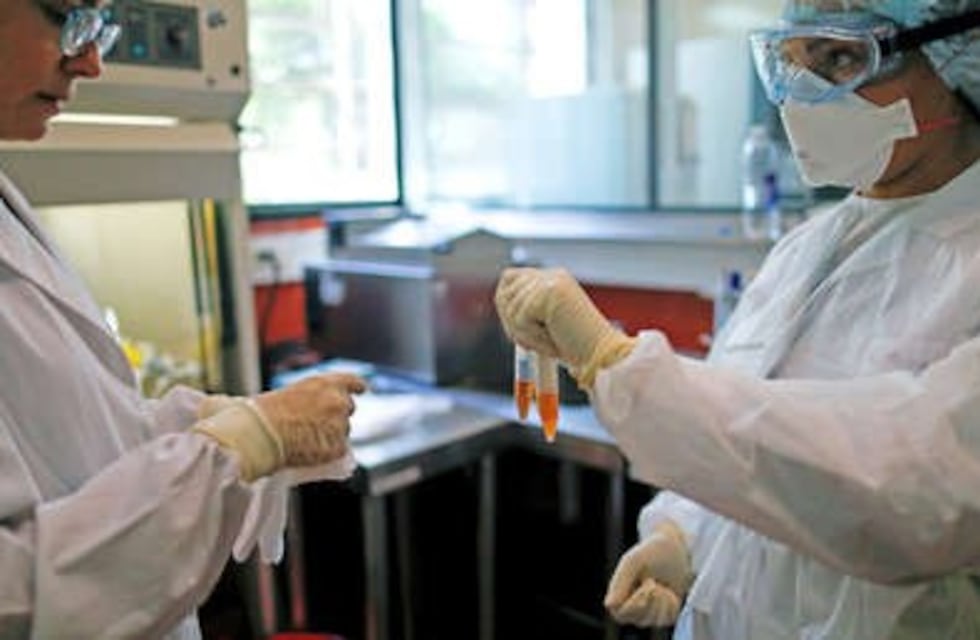 El sistema inmunológico, otra de las claves para enfrentar al coronavirus