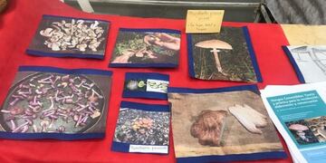 Primera Expo Ambiental Fueguina