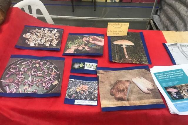 Primera Expo Ambiental Fueguina