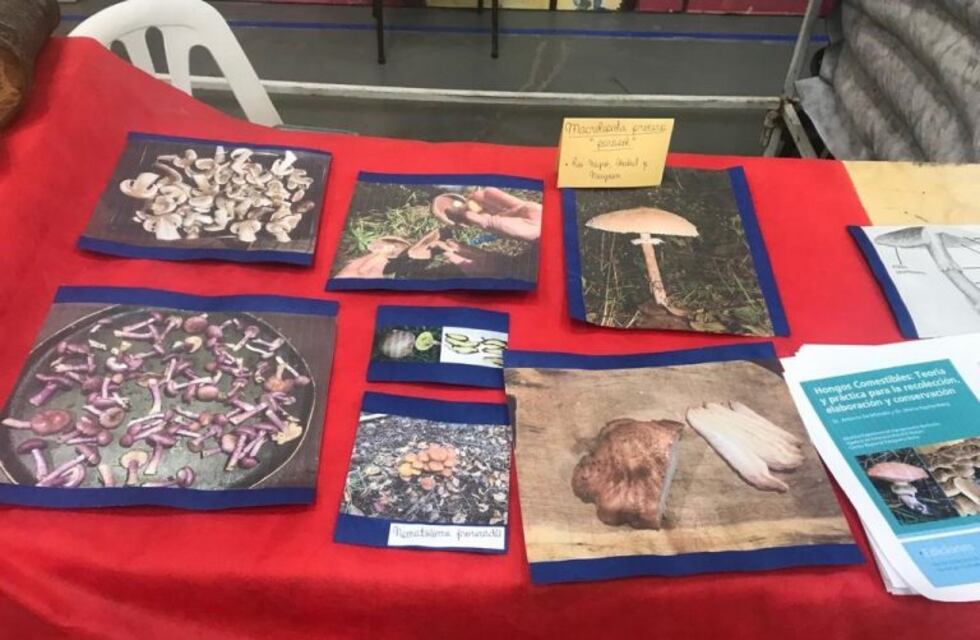 Se realizó la primera Expo Ambiental Fueguina