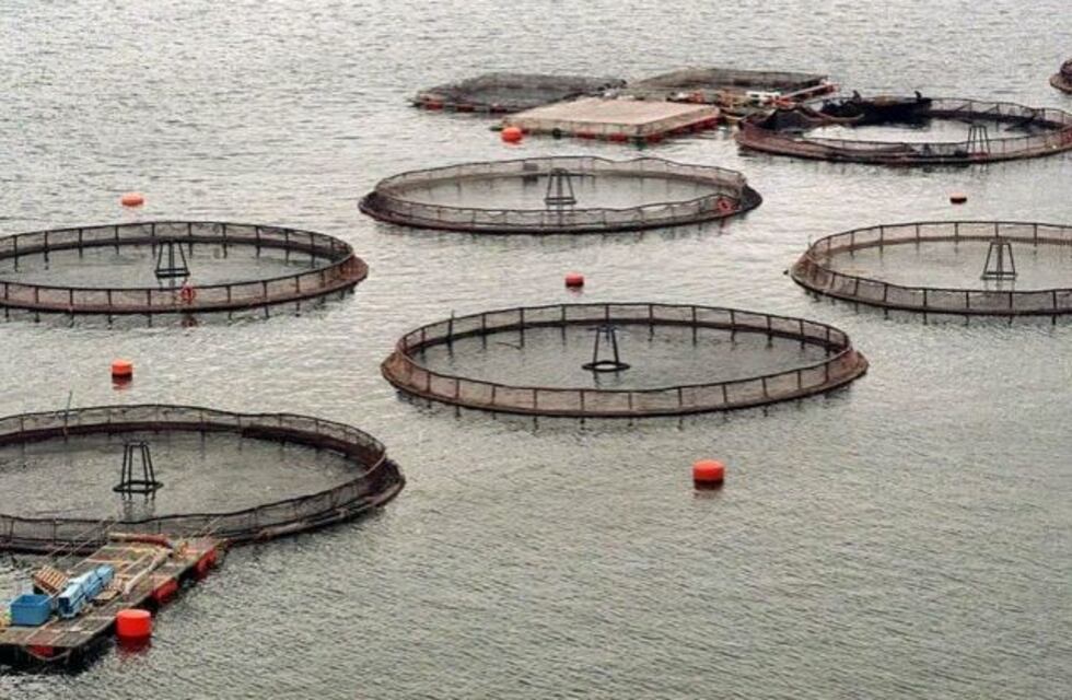 Invertirán 4 millones de dólares para impulsar el desarrollo acuícola en Neuquén