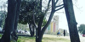 Parque Sunchales\u002E