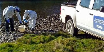 Controlan aguas residuales para detectar el SARS-CoV-2 en Neuquén