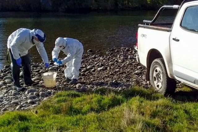 Controlan aguas residuales para detectar el SARS-CoV-2 en Neuquén