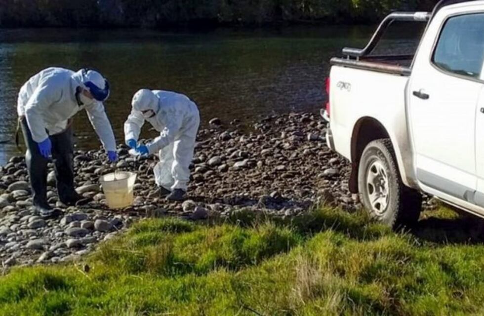 Controlan aguas residuales para detectar el SARS-CoV-2 en Neuquén
