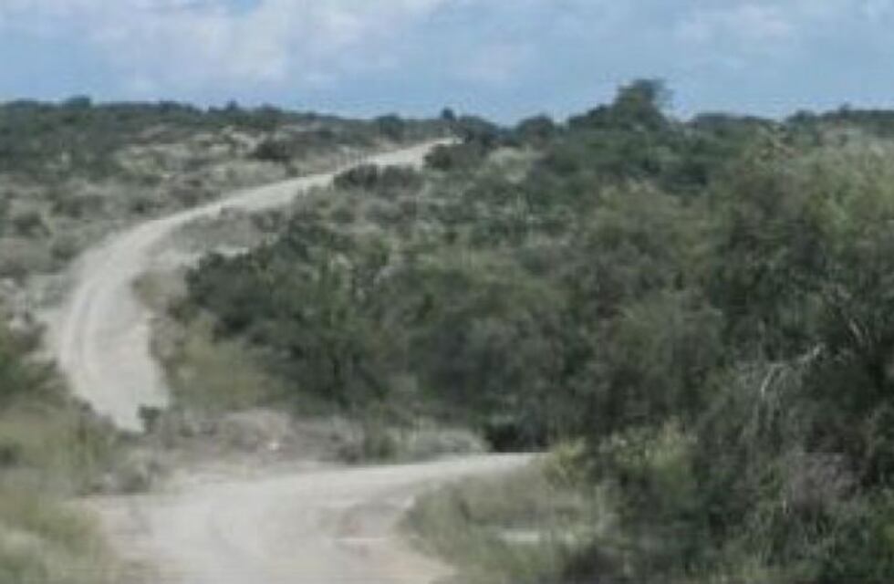 Comienza la construcción de la ruta entre Alpa Corral y Río de los Sauces