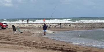 Las 24 Horas de la Corvina Negra