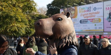 #ModoCarpincho