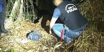 La droga apareció en la costa del río Paraná\u002E