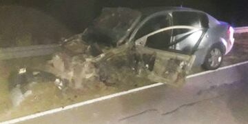 Chocó un ciervo y lo chocó un camión (Diario Textual)