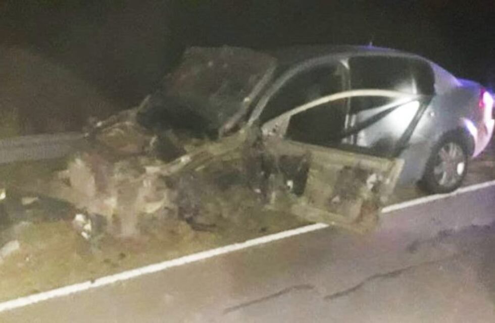 En cercanías del Parque Luro chocó un ciervo, hizo un trompo y fue chocado por un camión