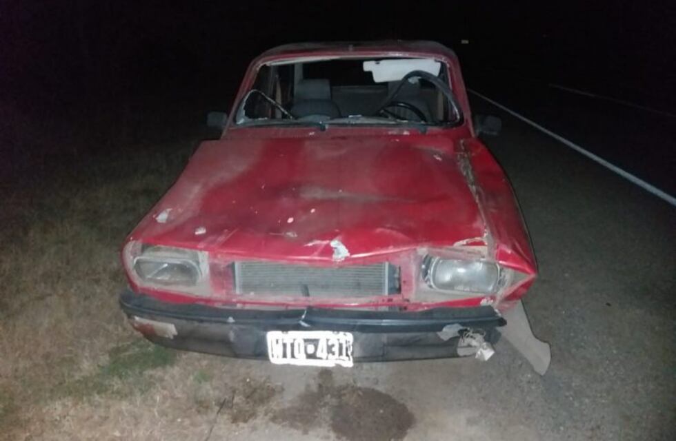 Lozada: circulaba por la ruta y chocó con un caballo