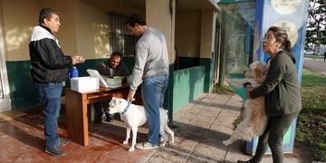 Vacunacion de animales