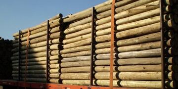 Camión con postes de eucaliptos\u002E (Agrofy)