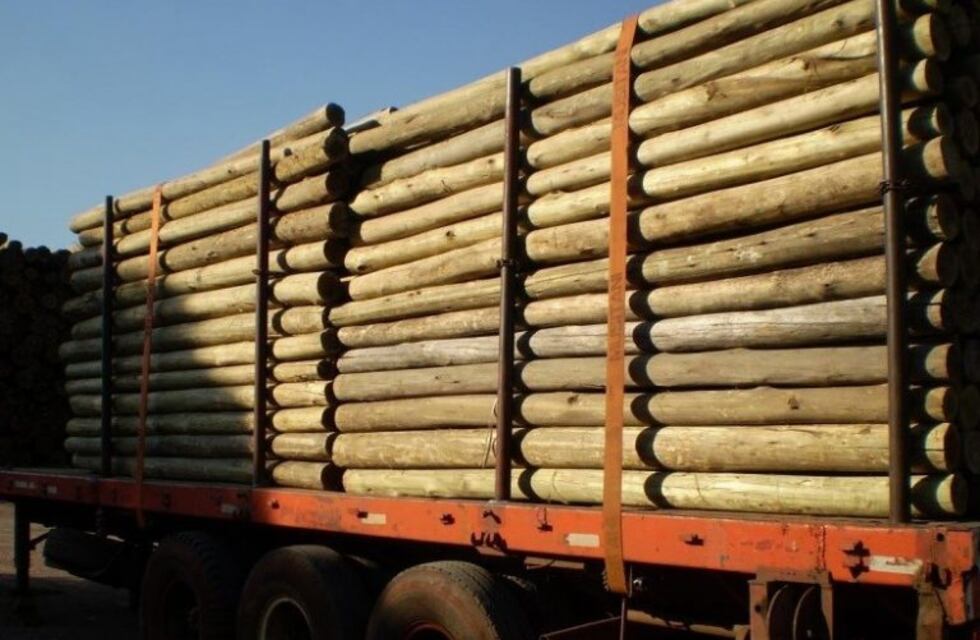 El INTA extiende a Misiones el área dedicada a cultivos con ensayos genéticos de eucaliptos