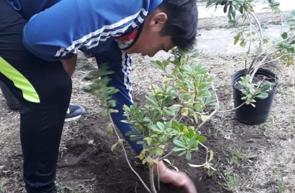 Abrazando al Amazonas: el proyecto ejemplar de una escuela azuleña