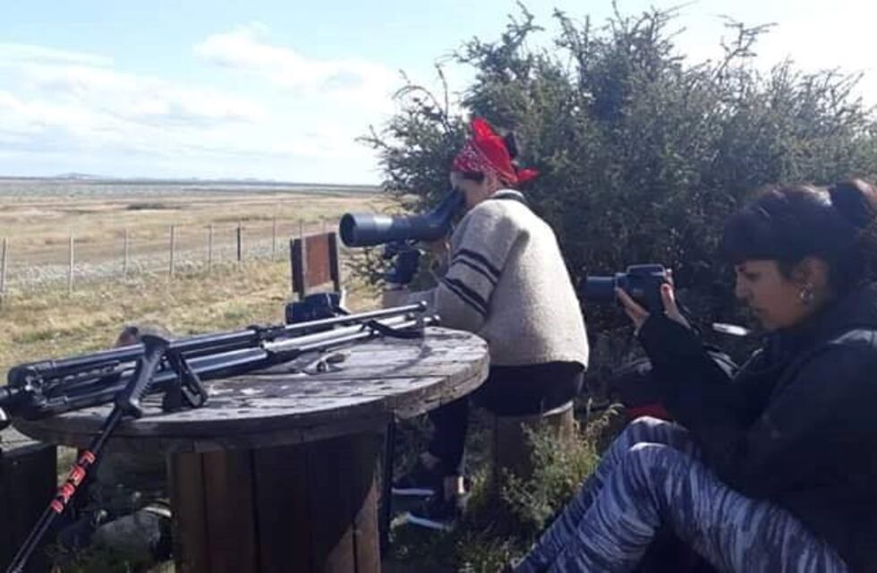 Implementan un programa de guardianes de "Cauquén colorado"