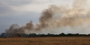 Indignante: prendieron fuego a un perro y se originó un incendio