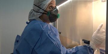 El equipo de Biología Molecular diariamente realiza análisis de muestras para confirmar o descartar el diagnóstico de coronavirus\u002E