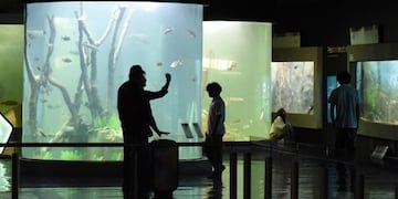 Realizarán trabajos de mantenimiento en el Acuario del Río Paraná\u002E (Etur)