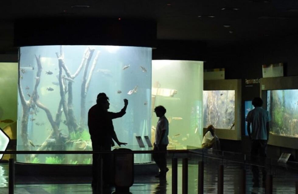El Acuario del Río Paraná prepara la venta de anticipadas por Internet