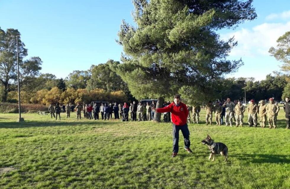 Capacitaron perros y guías de todo el país en Puerto Belgrano