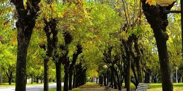 Banco de plaza\u002E