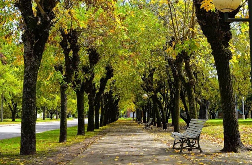 Insólito: se robó un banco de plaza y lo cargó en sus hombros