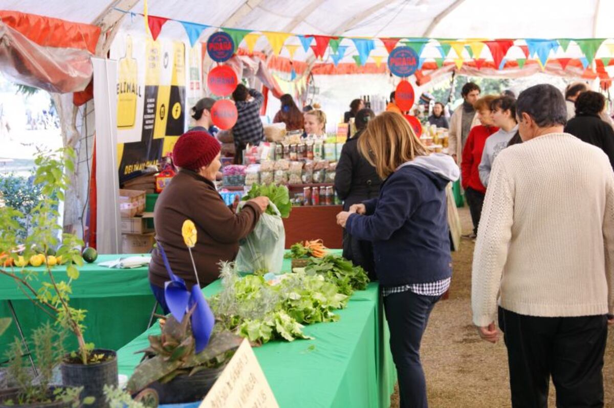 El BioMercado se instala en barrio Jorge Cura\u002E