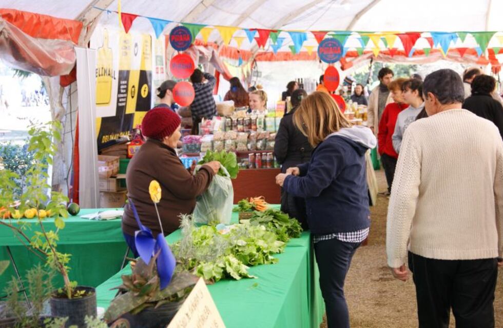 El BioMercado llega a barrio Jorge Cura