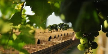 granja y criedero de nutrias