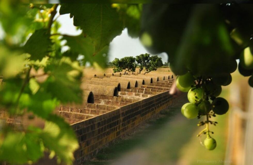 Miramar de Ansenuza también apuesta al turismo rural