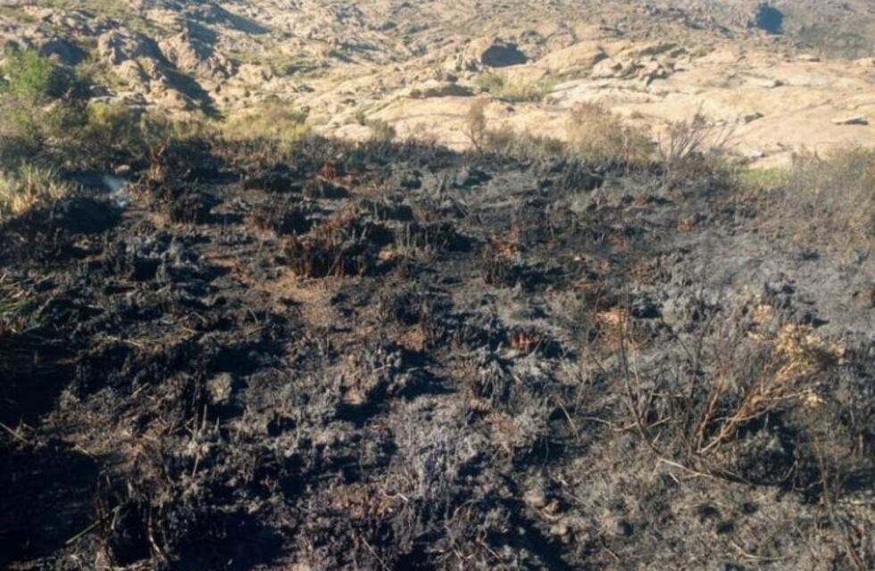 Detuvieron a un hombre de 73 años por provocar incendios en las Altas Cumbres