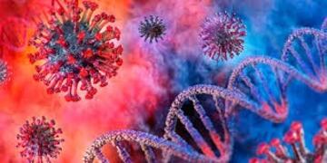 Coronavirus: Gualeguaychú alcanza los 440 casos\u002E\nCrédito: Web