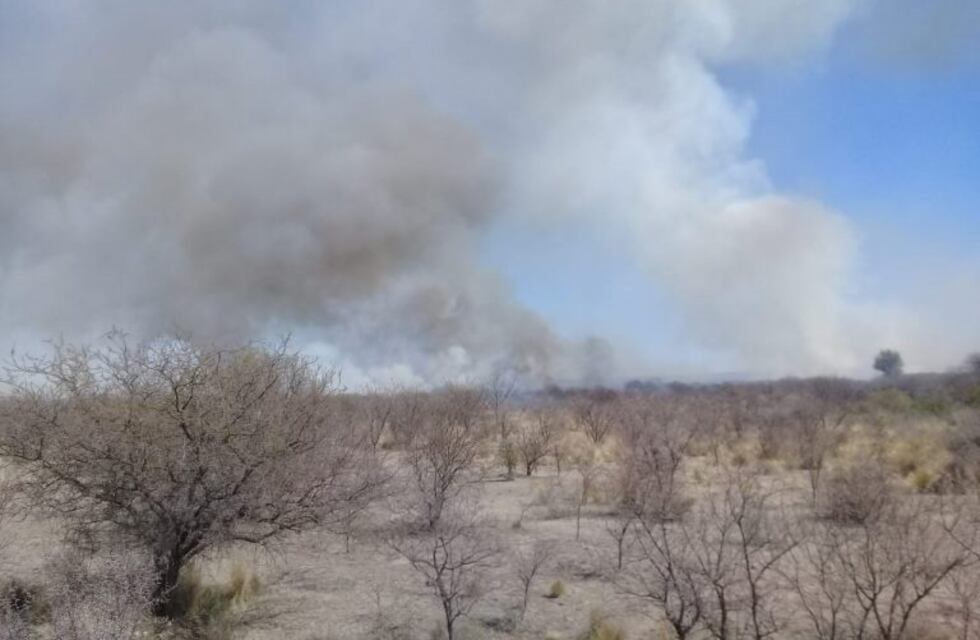 Bomberos combaten una gran cantidad de focos de incendio