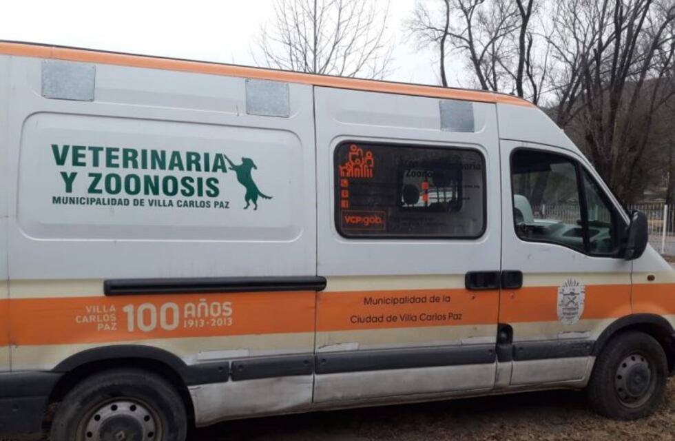Siguen las jornadas de castración móvil en Carlos Paz