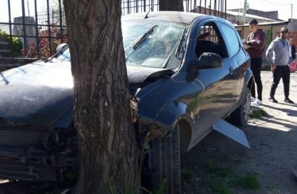 Delincuentes que habían robado un auto huyeron de la policía y chocaron contra un árbol