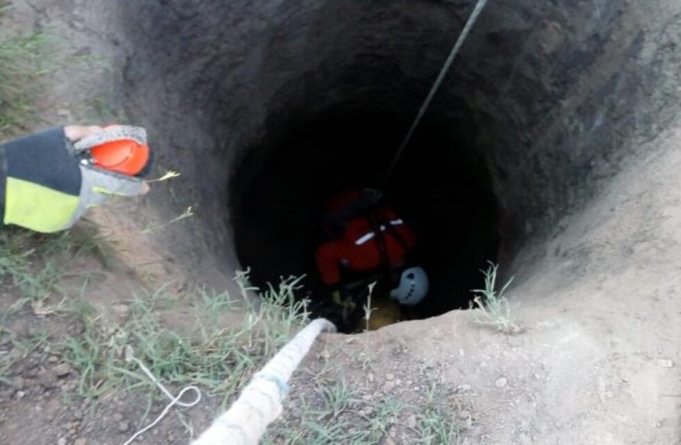 Los bomberos rescataron un chancho en Cura Brochero