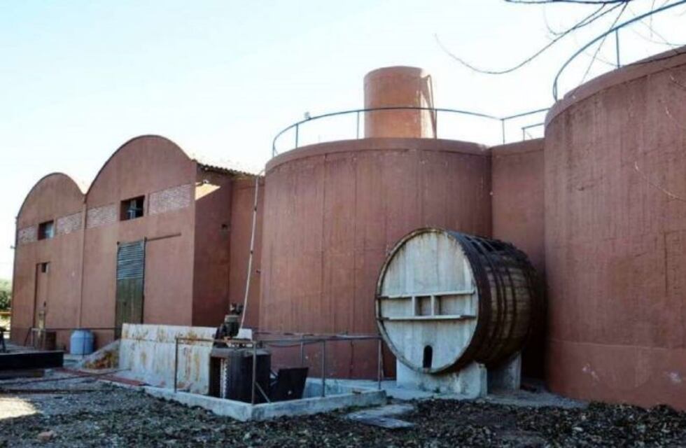 Tras cinco años sin trabajar, la bodega de los contratistas comenzó a producir