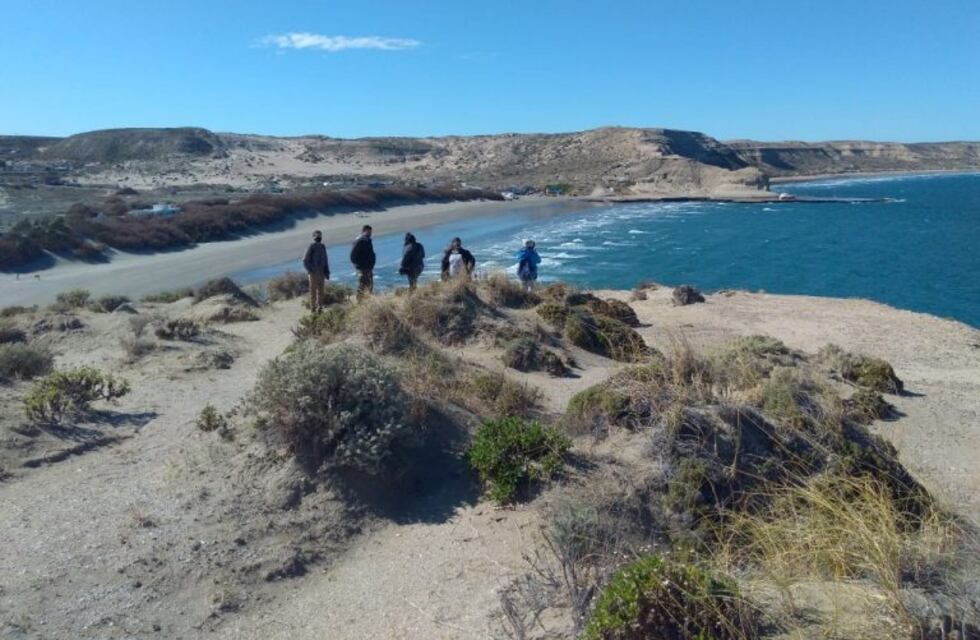 Península Valdés: sendero de trekking hasta la lobería Punta Pirámide
